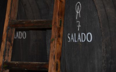 Redescubriendo la Historia Vinícola de Sevilla con Bodega Salado